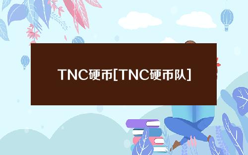 TNC硬币[TNC硬币队]
