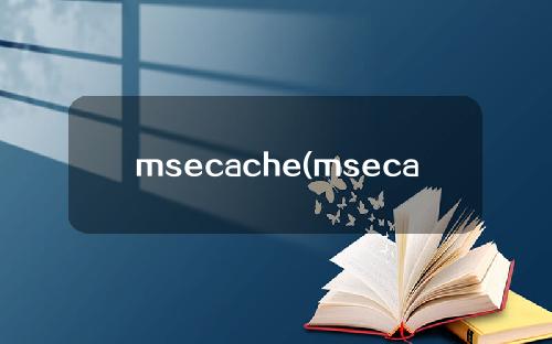msecache(msecache是什么文件夹可以删除吗)