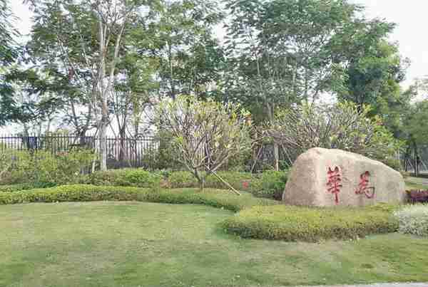 实拍“深圳华为总部”，整个园区安静至极，游客表示像低调大校园