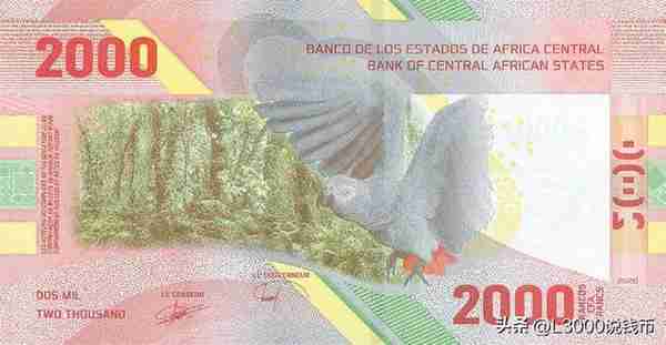 一枚兔币拍了2000多的，值不值？中非国家央行推出重新设计的纸币