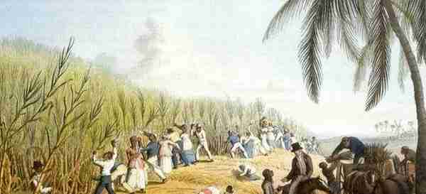 印第安人阿拉瓦克的反抗运动：1670年代苏里南的历史事件
