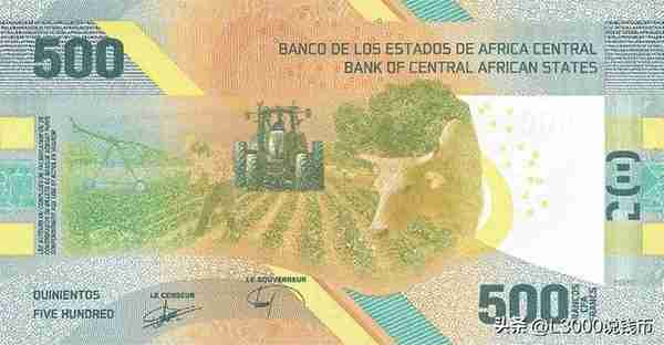 一枚兔币拍了2000多的，值不值？中非国家央行推出重新设计的纸币