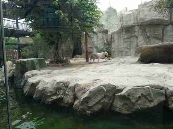 厦门灵玲国际马戏城动物园