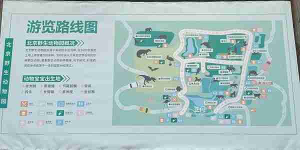 和孩子一起追逐快乐—北京野生动物园超全超省心游玩攻略